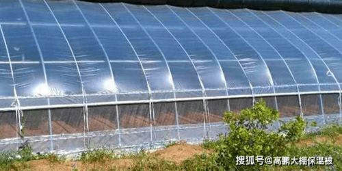 大棚薄膜安装发皱起褶的原因与解决方法
